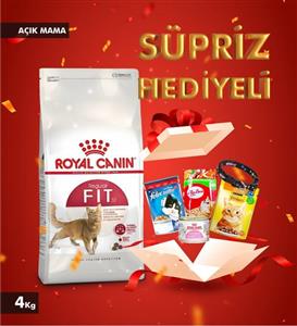 Royal Canin Fit 32 Yetişkin Kedi Maması 4 Kg