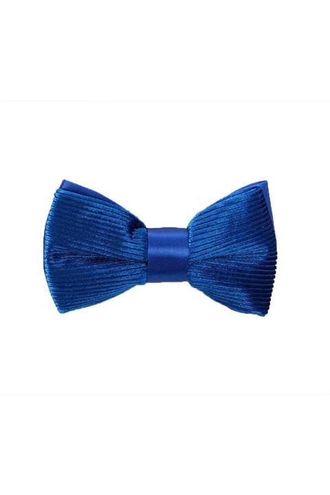 ROMASTER Mavi Renk Çizgi Desenli Erkek Papyon