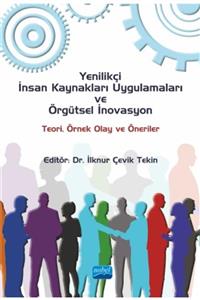 Uğurböceği Yayınları Yenilikçi Insan Kaynakları Uygulamaları Ve Örgütsel Inovasyon:teori, Örnek Olay Ve Öneriler Ilknur Ç