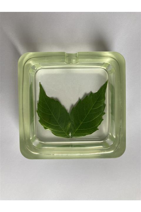 AS Tasarım Atölye Yaprak Kül Tablası El Tasarımı Epoksi