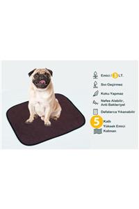 ATA EXCLUSIVE FABRICS (2 Lİ PAKET) 5 Katlı Kapitoneli, Yıkanabilir, Sıvı Geçirmez Köpek Çiş Pedi(40X50 CM)