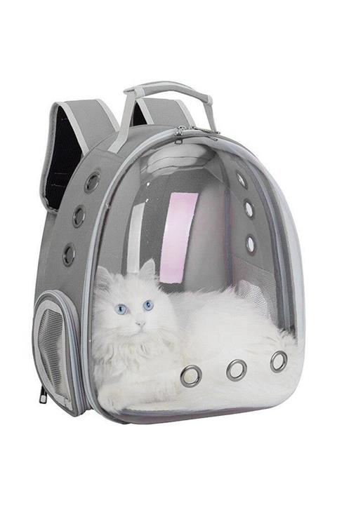 Astronom Kedi Köpek Astronot Çanta