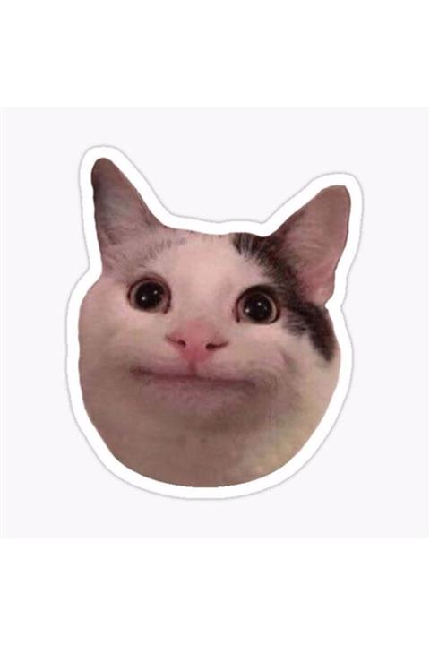 ZobarMarkt Kedi Baskılı Defter Ajanda Planner Laptop Sticker, 5 Cm