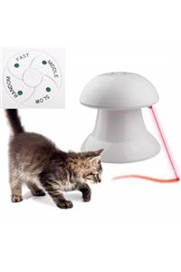 HİLALSHOP Lazer Işıklı Kedi Oyuncağı