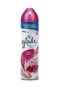 Glade Hava Tazeleyici Aerosol, Oda Kokusu, Aşkın Büyüsü, 300ml