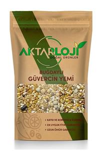 aktarloji 10 Kg Buğdaylı Karışık Güvercin Yemi Ultra Lüx A-1