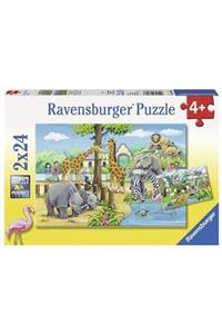 RAVENSBURGER 2x24 Parça Puzzle Zoo 078066