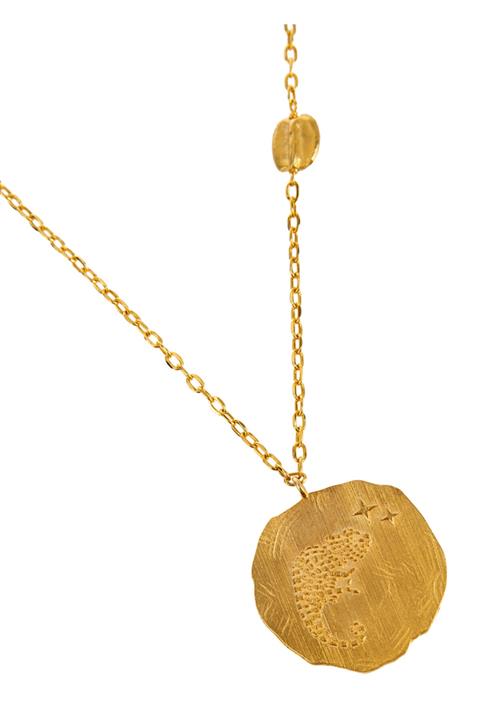 Monapetra Para Bukalemun Kolye