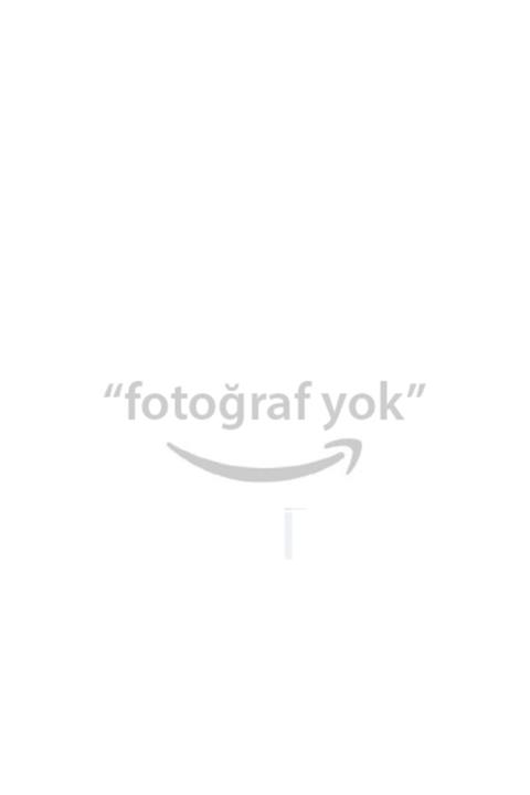 Ana Hickmann Yakit Filtresi (ford : Focus 1.6 Tdci 05-12 C-max 1.6 Tdci 07-10) - Man-wk93913