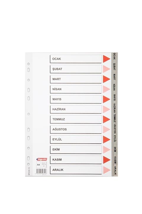 Bigpoint Pp Seperatör Aylar