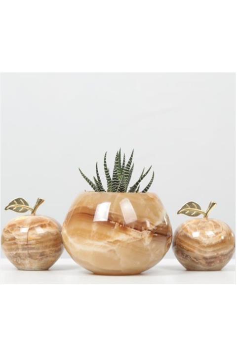 MEGA KANYON Canlı Sukulentli Gerçek Doğal Mermer Saksı Seti A95