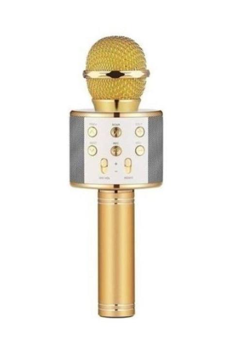 Anka Karaoke Mikrofon Dahili Hoparlörlü Usb Flash Destekli Ws-858 Gold Ws-858
