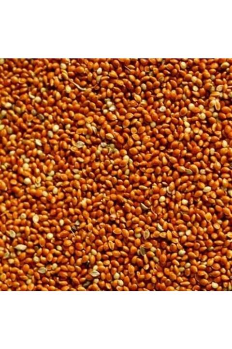 Badem Akvaryum Kızıl Darı Kırmızı Darı Kuş Yemi Dökme 1 Kg