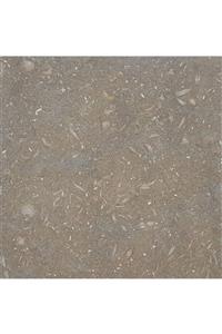 MermerDepo 30,5 X 30,5 X 1 Cm Honlu Seagrass Mermer Fayans (LİMESTONE)