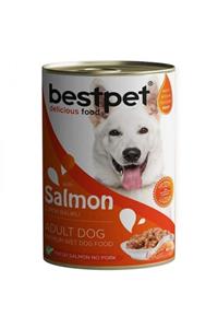 Bestpet Somonlu Jöleli Yetişkin Köpek Konservesi 400 Gr
