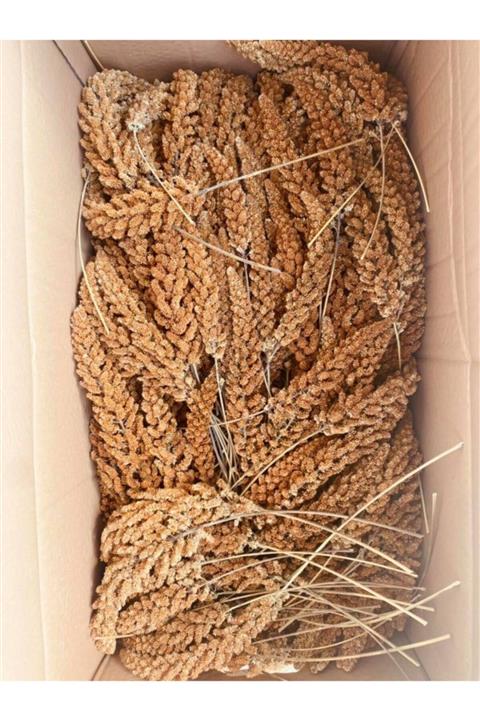 White Road Kızıl Dal Darı 1 kg