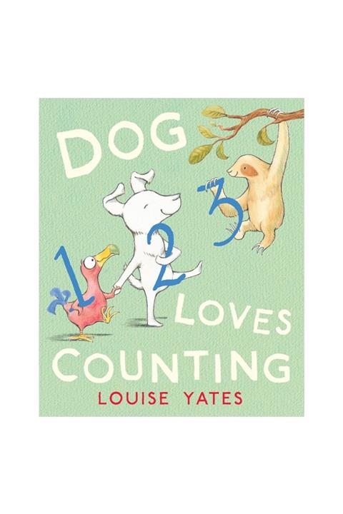 Red Fox Dog Loves Countıng