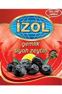 İZOL Zeytin (261-290 Calibre )