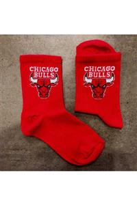 nlspoint Çorap Kırmızı Chicago Bulls