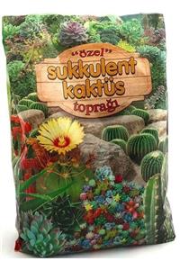 Arc Çiçek Toprak Özel Sukkulent&kaktüs 1,5 Lt