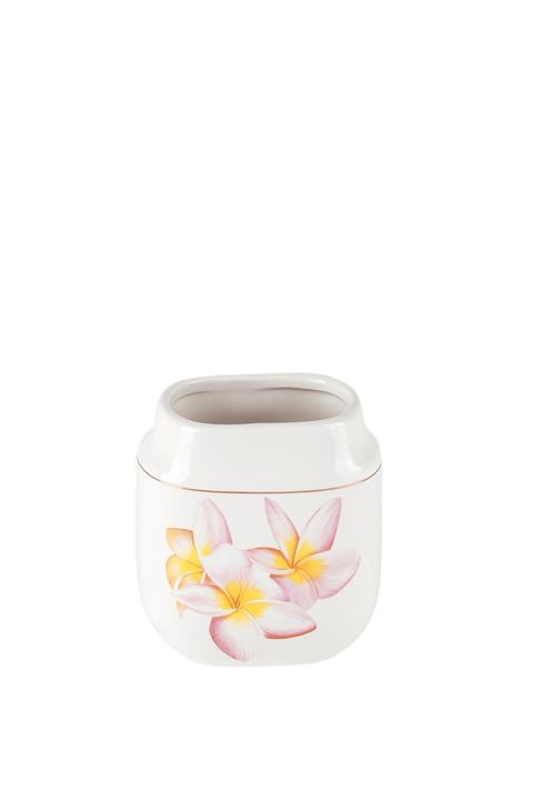 Prima Nova Cıse Diş Fırçalık