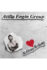 Gereksiz Şeyler Atilla Engin No Money No Honey Plak