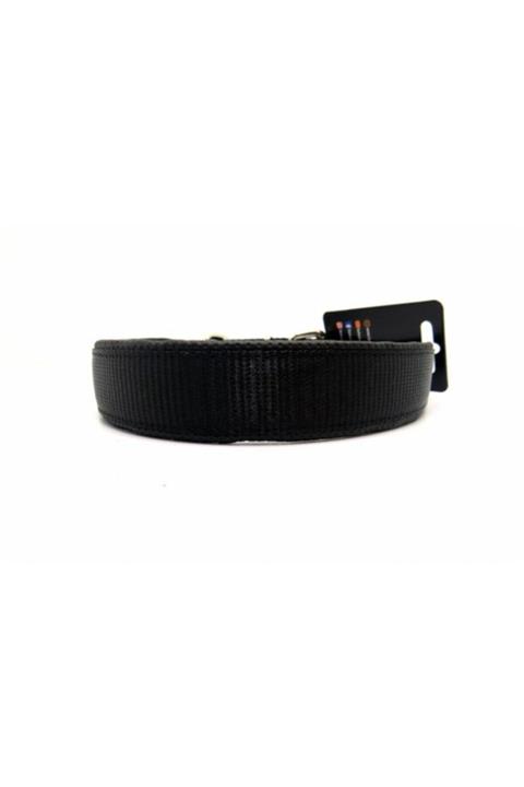 PET SUPPLIES Orta-büyük Irk Köpek Boyun Tasma- Yumuşak Yapı Astarlı Canlı Renk (43-53 Cm Boyun Arası) En 25 Mm