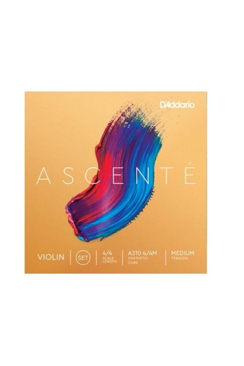 Daddario Daddarıo A310 4/4m