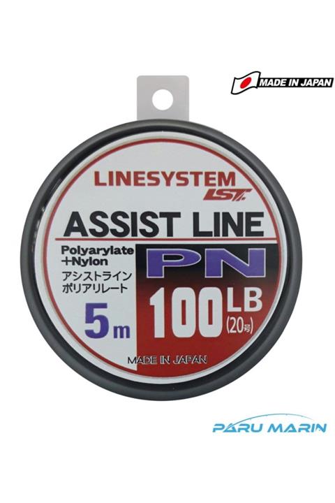 Linesystem Jig Asist Ipi 5mt 45kg. / 100lb.