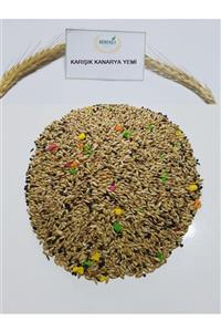 Bereketlimama Karışık Kanarya Kuşu Yemi -özel Karışım- 5 Kg