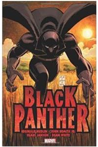 Marvel Comics Who Is Black Panther