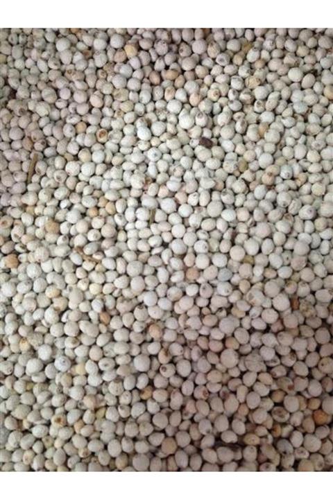 Badem Akvaryum Perilla Tohumu Kuşlar Için Beyaz Perilla Tohumu 1 Kg