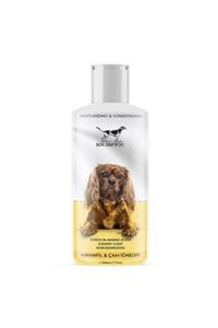 Catidea Karanfil Ve Çam Kokulu Köpek Şampuanı 200 Ml