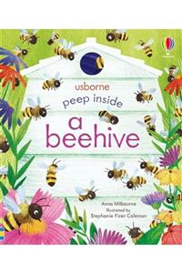 Usborne Peep Inside A Beehive