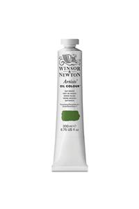 Winsor Newton Winsor & Newton : Artists' Yağlı Boya : 200 Ml : Sap Green 599 S2