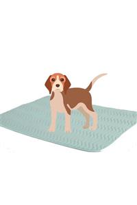 CARETEX Abso Vinyl Köpekler İçin Sıvı Geçirmez & Yıkanabilir Koruyucu Örtü 85x90