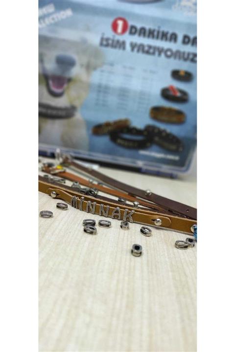 sevgipet Kedi Köpek Tasmasına Isim Yazma