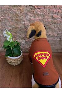 Buddy Store Kedi Köpek Kıyafeti & Elbisesi Uzun Kollu Model Kahverengi Superdog (kaşkorse)