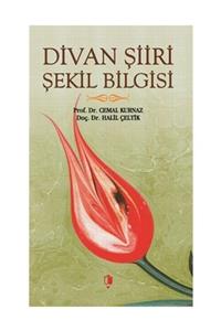 Kurgan Edebiyat Divan Şiiri Şekil Bilgisi - Cemal Kurnaz 9789752676985