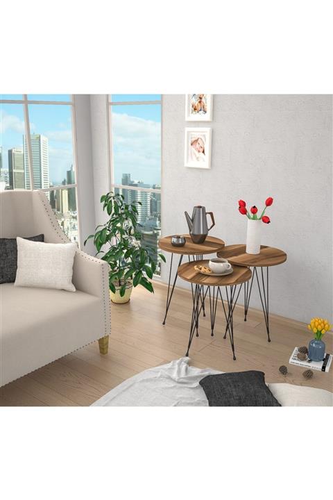 Haus Modüler Zigon Sehpa Metal Ayak 3lü Servis Sehpası Oval Ceviz