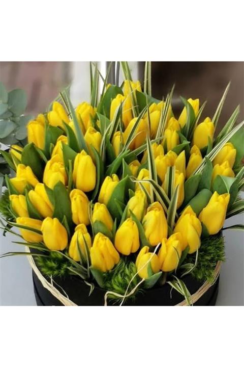 Safir Garden Sarı Lale Soğanı 10 Adet