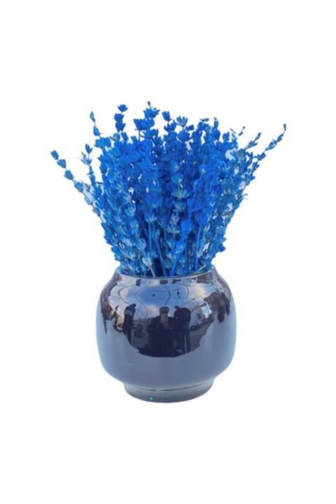 Çiçek Yolla Mavi Şoklanmış Lavanta Serisi