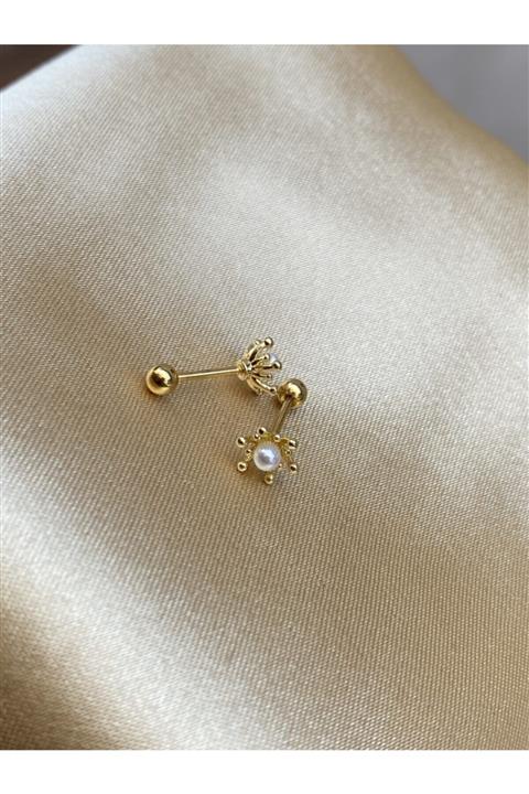 TAKIKRALI Inci Detaylı Minimal Gold Tragus Kıkırdak Helix Piercing