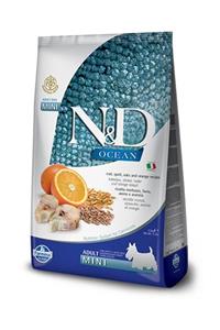 N&D Ocean Düşük Tahıllı Balıklı Küçük Irk Yetişkin Köpek Maması 2,5 kg