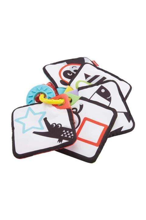 FISHER PRICE Fisher-Price Mini Yumuşak Kitap  FXB92