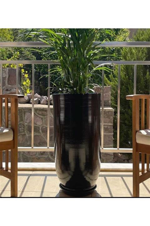 neo izmir Siyah Servi Toprak Saksı