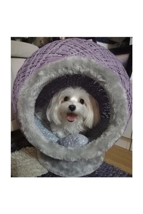 bykozha Köpek Yuva/yatak