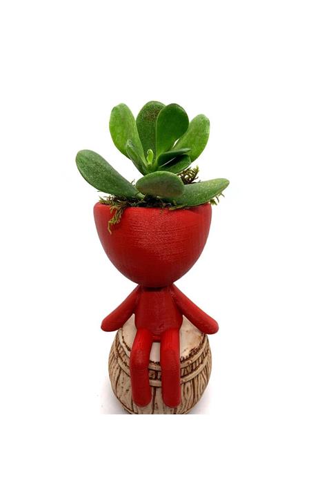 ÇiçekAntalya Insan Figürü Saksıda Sukulent Kaktüs Kırmızı