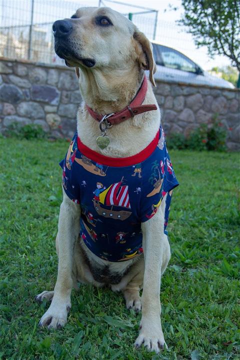 Oli and Lui Dark Pirate Büyük Irk Köpek Tişörtü