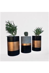 beton saksı Bronz Siyah 3'lü Set Büyük Boy(Kaktüssüz)